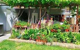 Apartments Pavao 1402